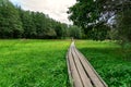 Moorland in SzÃâce in ÃÂrsÃÂ©g national park with wooden pathway